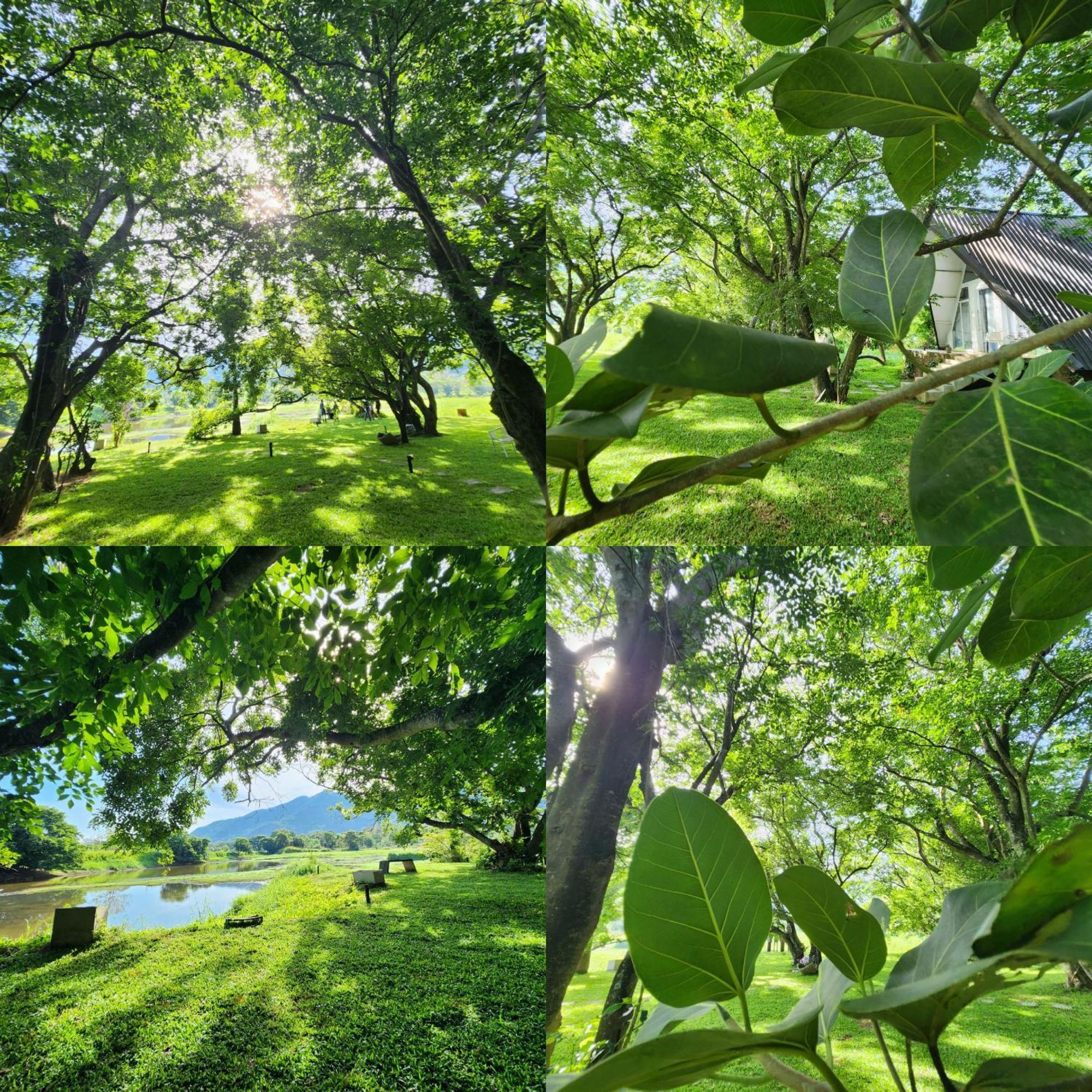 Samabe Lake Dambulla Dış mekan fotoğraf